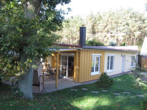Kiefernidyll in Zinnowitz